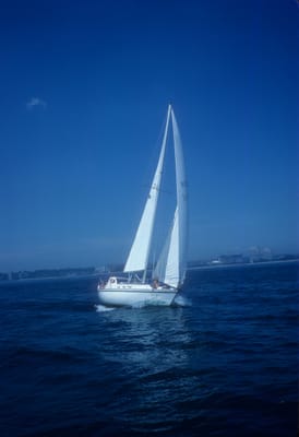 5158.jpg