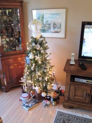 A001 Our Christmas Tree.jpg