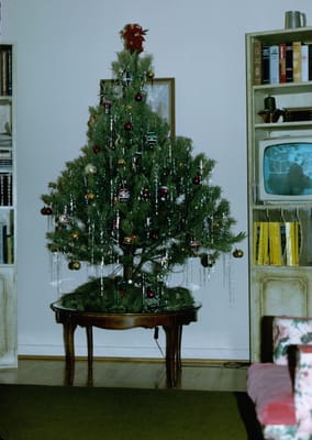 Image1 Our 1st real tree.jpg