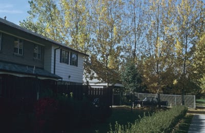 Image25.jpg