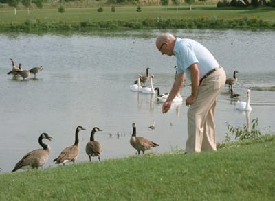 Image6 3.jpg