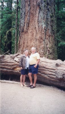img035.jpg