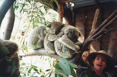img010.jpg