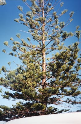 img046.jpg