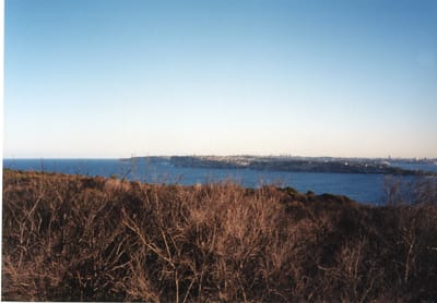 img051.jpg