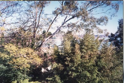 img098.jpg