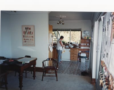 img100.jpg