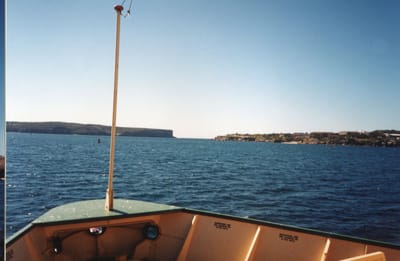 img136.jpg