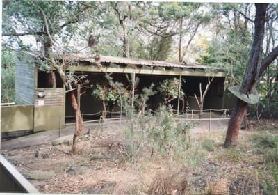 img144 Ku Ring Gai reserve.jpg