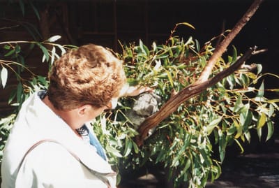 img149.jpg
