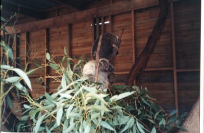 img150.jpg