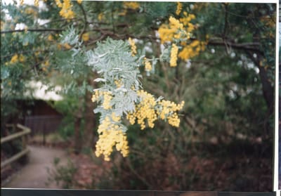 img151.jpg