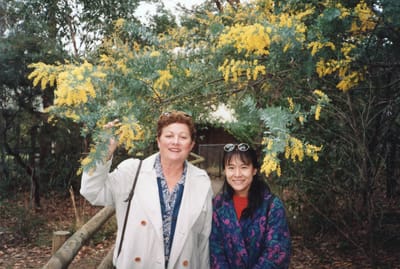 img153.jpg
