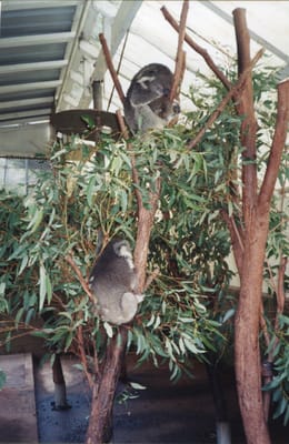 img154.jpg