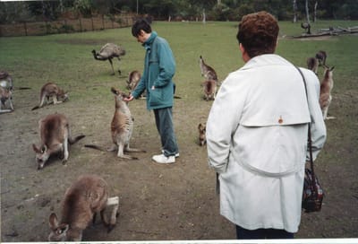 img155.jpg