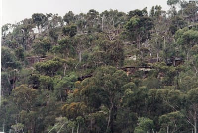 img165.jpg
