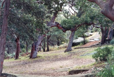 img167.jpg