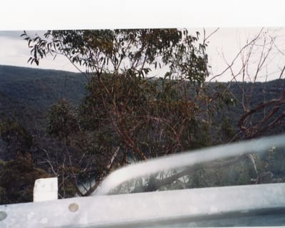 img168.jpg