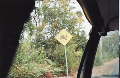 img170.jpg