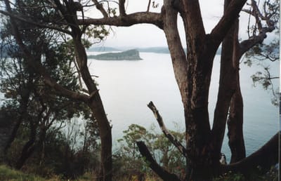 img174.jpg