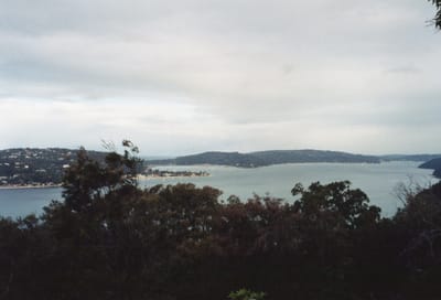 img175.jpg