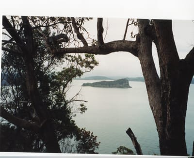 img176.jpg