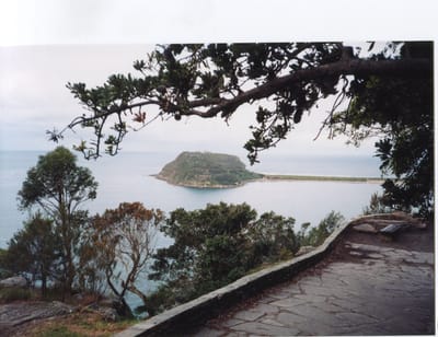 img177.jpg