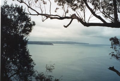 img179.jpg