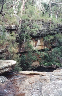 img182.jpg