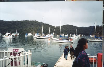 img186.jpg
