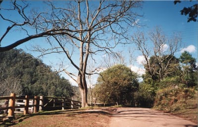 img194.jpg