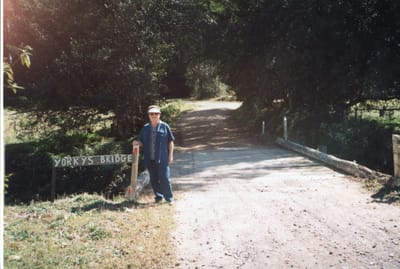 img195.jpg