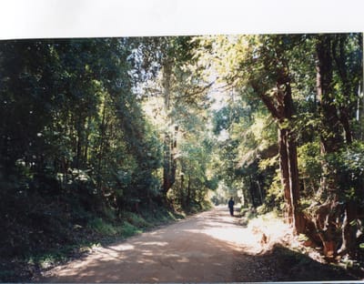 img197.jpg