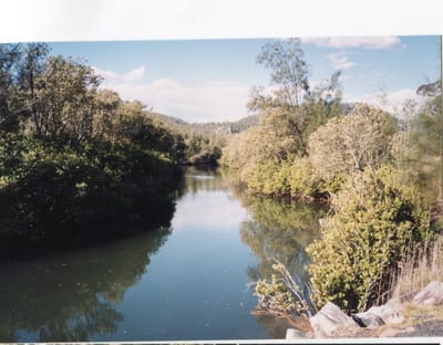 img201.jpg