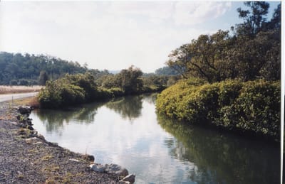 img202.jpg