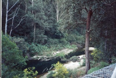 img211.jpg