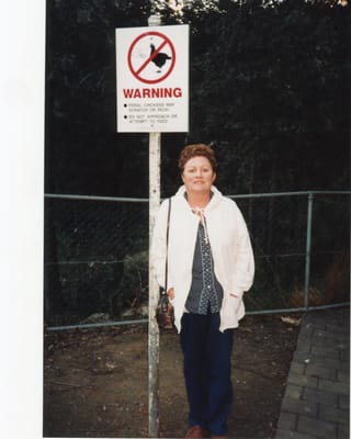 img212.jpg