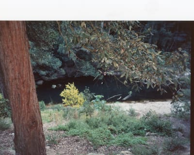 img216.jpg