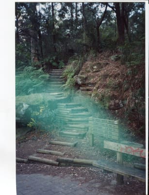img217.jpg