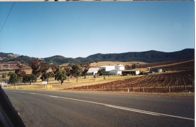 img226 Hunter Valley.jpg