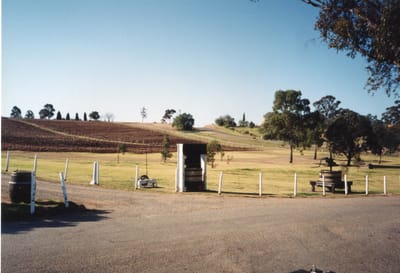 img231.jpg
