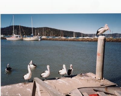 img260 Newcastle NSW.jpg