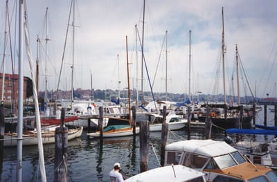 img271.jpg