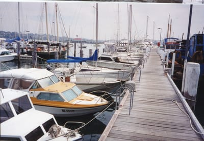 img273.jpg