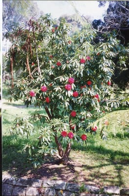 img282.jpg