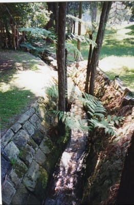 img283.jpg
