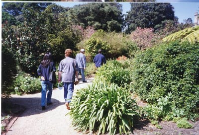 img285.jpg
