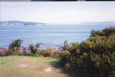 img290.jpg