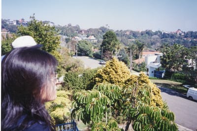 img301.jpg