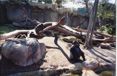 img303.jpg